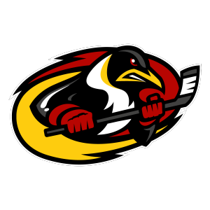 Morzine Hockey Club - Les Pingouins